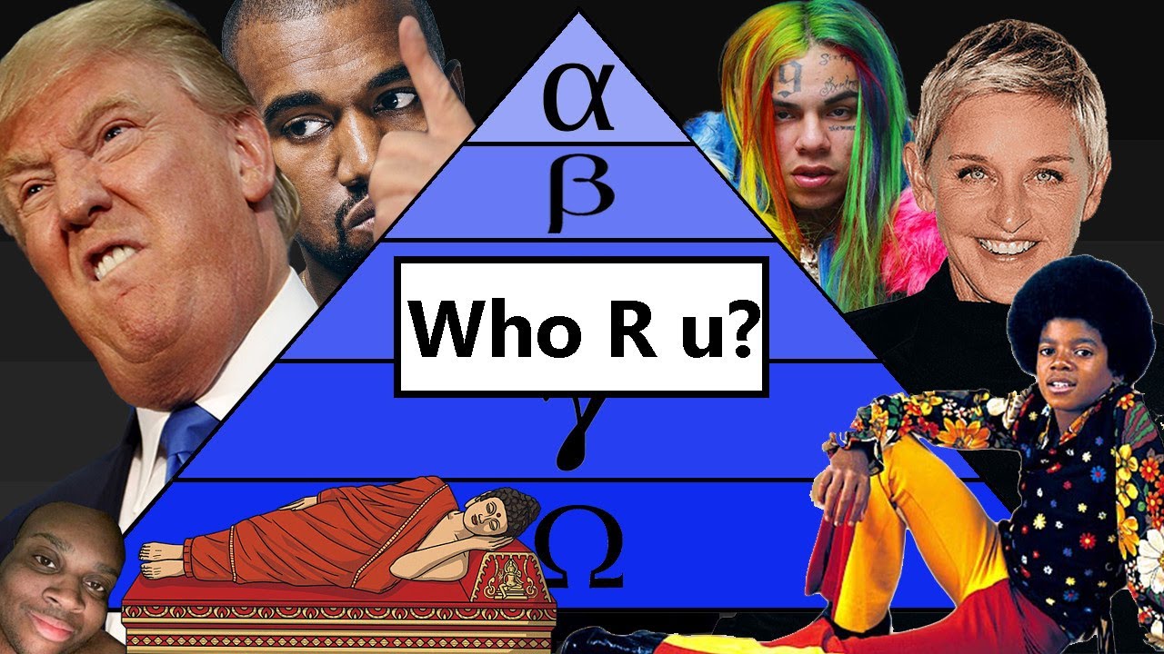 The Guide to Life (aka The Social Hierarchy)