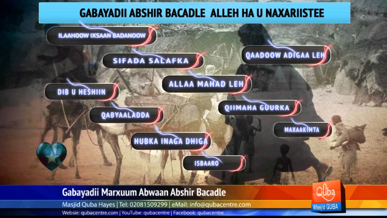 Abshir Bacadle GABAY