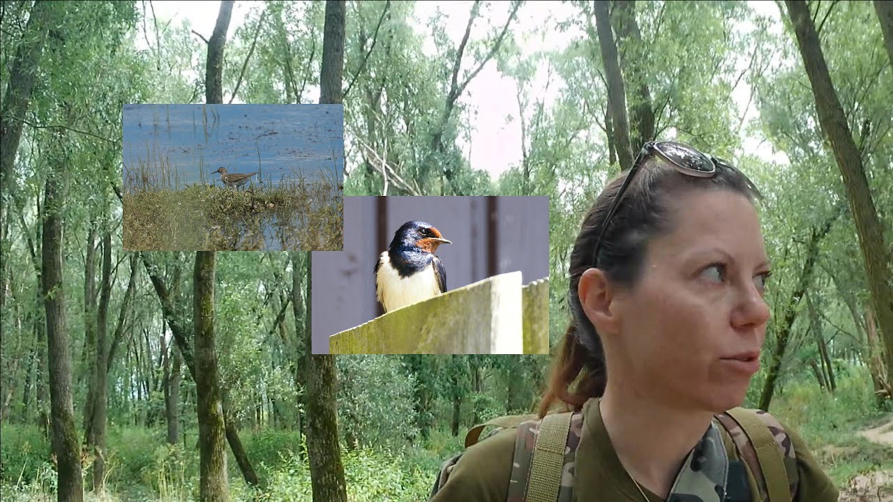 Die Hetlinger Schanze und NABU Vogelstation - ein Tag wie im Märchen