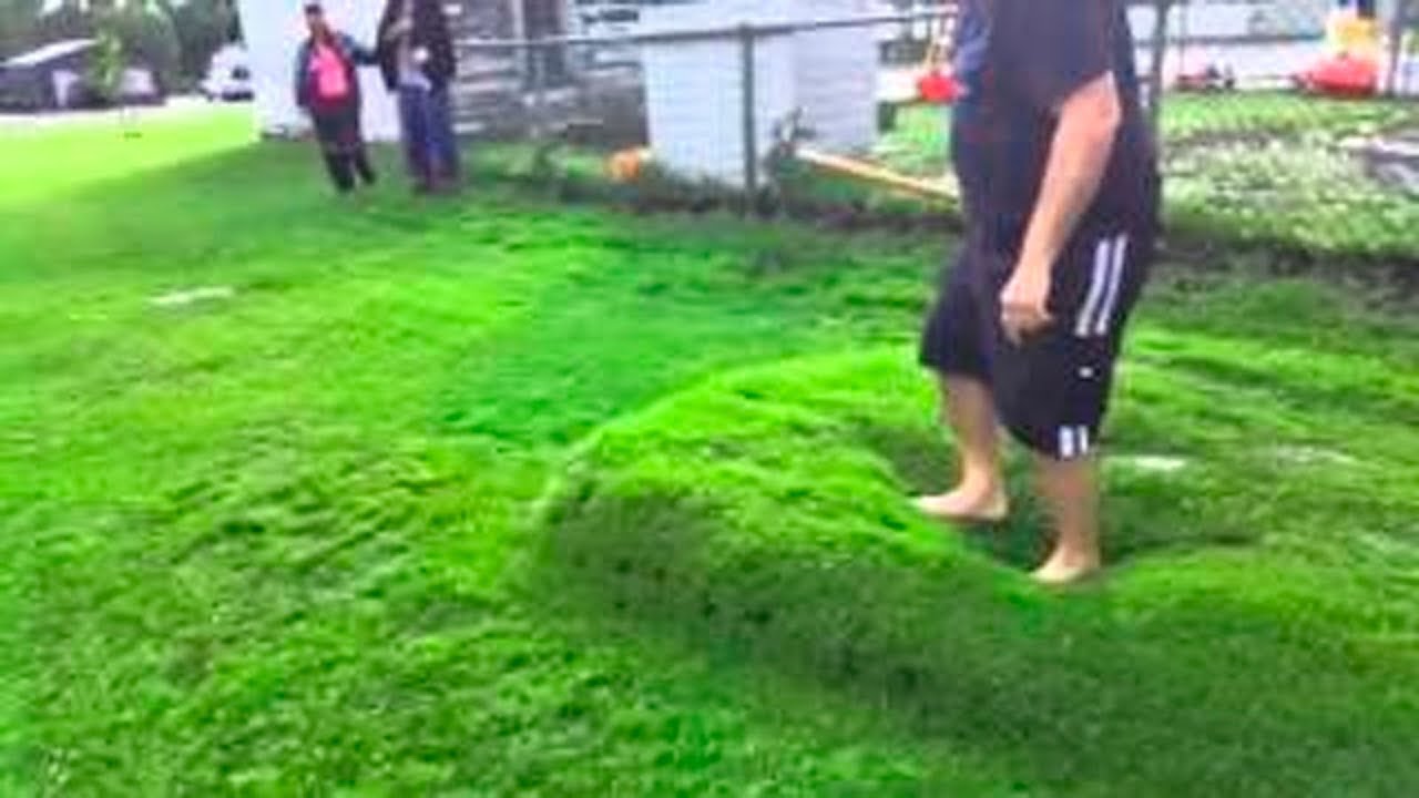 ОЧЕНЬ БОЛЬШОЙ ВОДНЫЙ ПУЗЫРЬ ПОД ГАЗОНОМ...