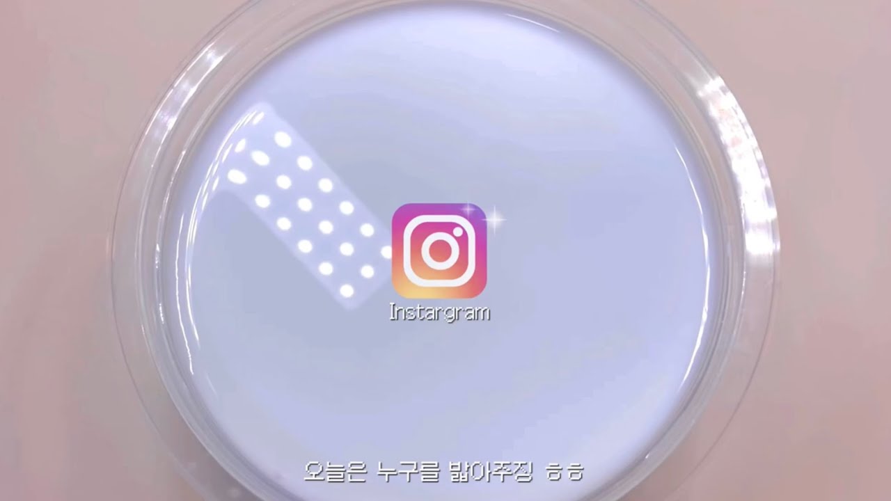 나르시시즘에 만만한 애들만 건드리는 자기합리화 안 된 11 최윤서 삶체험🤨