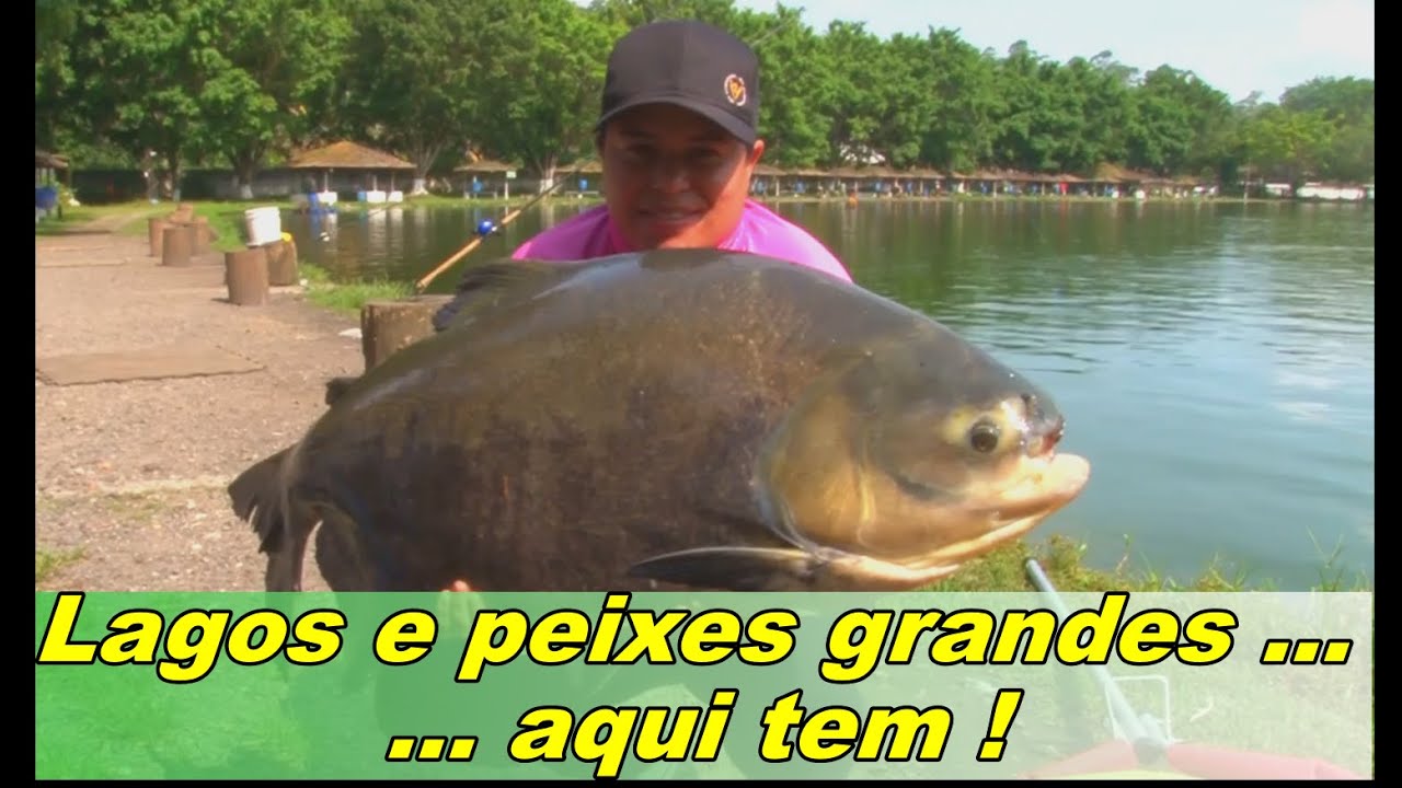 Lago grande e peixes também ... aqui é o lugar !