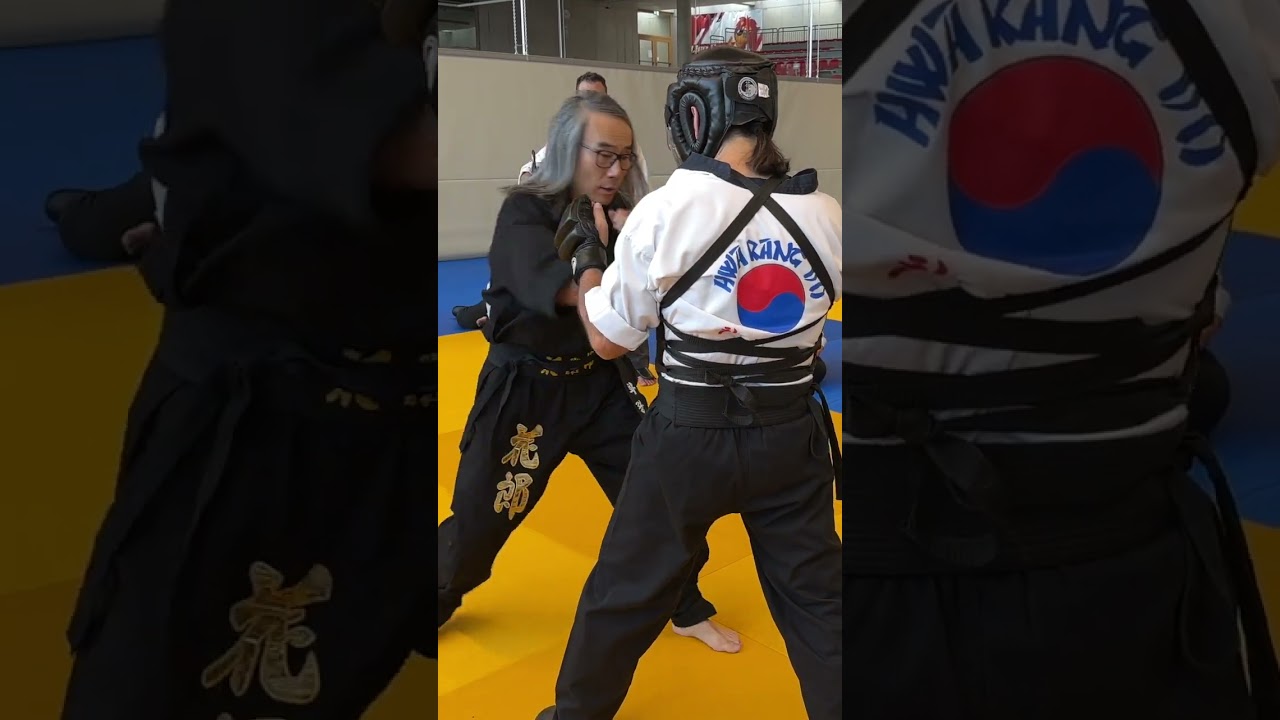 Hwa Rang Do Yongtoogi  Fighting Series #1 - Change Levels & Angles by HwaRangDo® GM Taejoon Lee