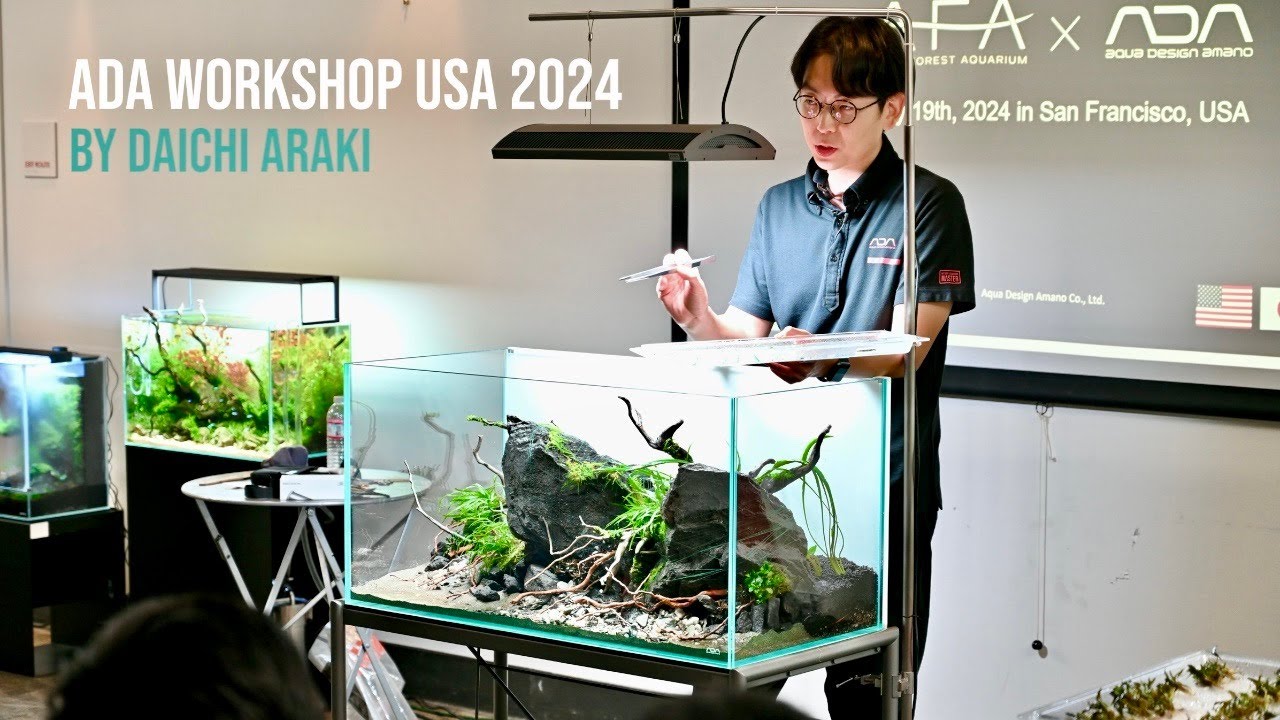 Aqua Design Amano Workshop USA 2024 Featuring Suikei Creator Daichi Araki
