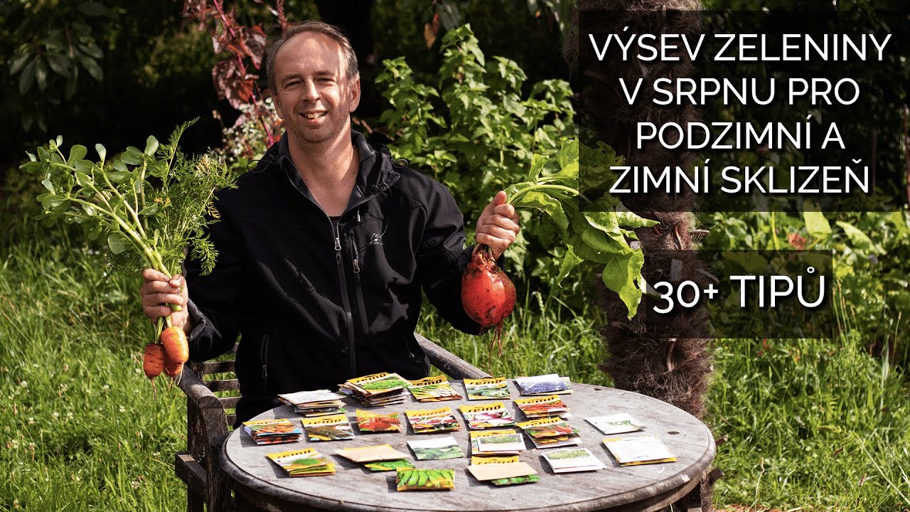Výsev zeleniny v srpnu pro sklizeň na podzim a v zimě - 30+ tipů