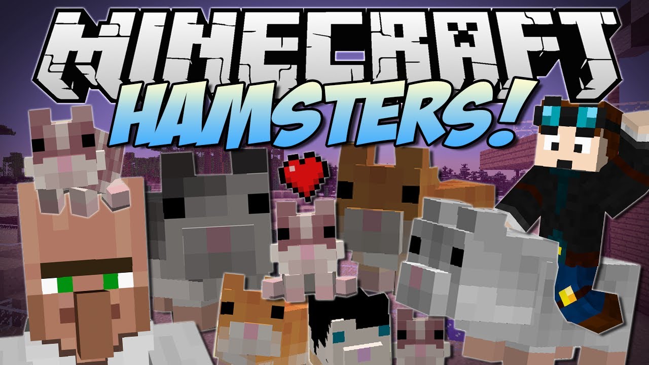 Minecraft | HAMSTERS! (The Great Hamster RACE!) | Mod Showcase