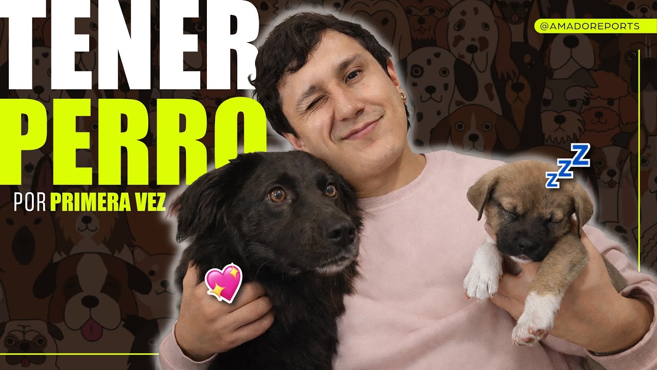Própositos del 2026: Adoptar una mascota - Perros