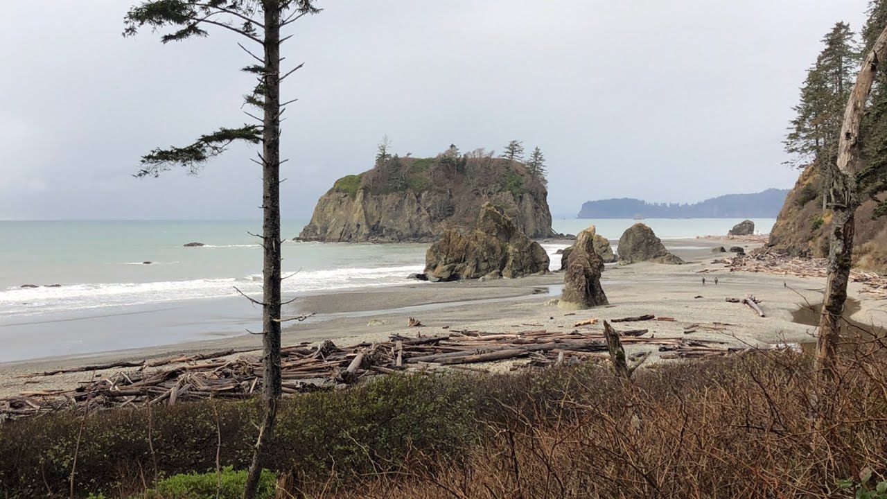 Pacific Coast, Olympic National Park, WA - visit 5 beaches, December 2022