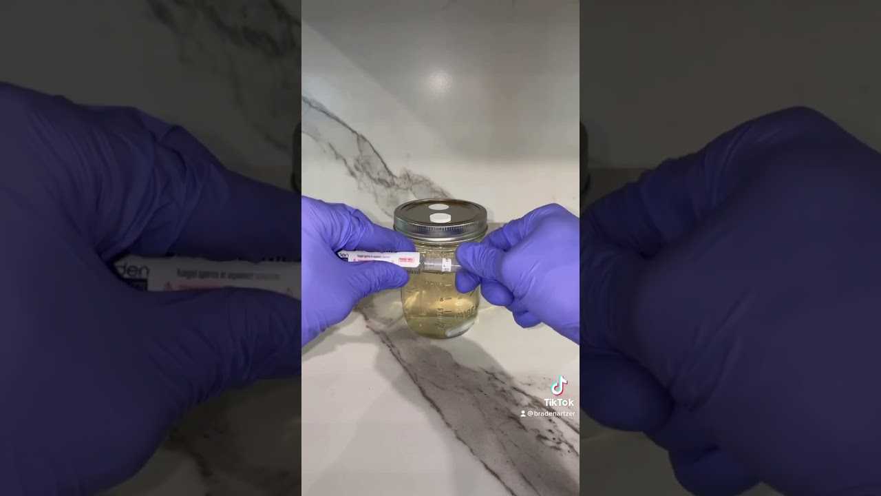 Как инокулировать жидкую культуру с помощью шприца со спорами! 💉 #микология #спора #эксперимент