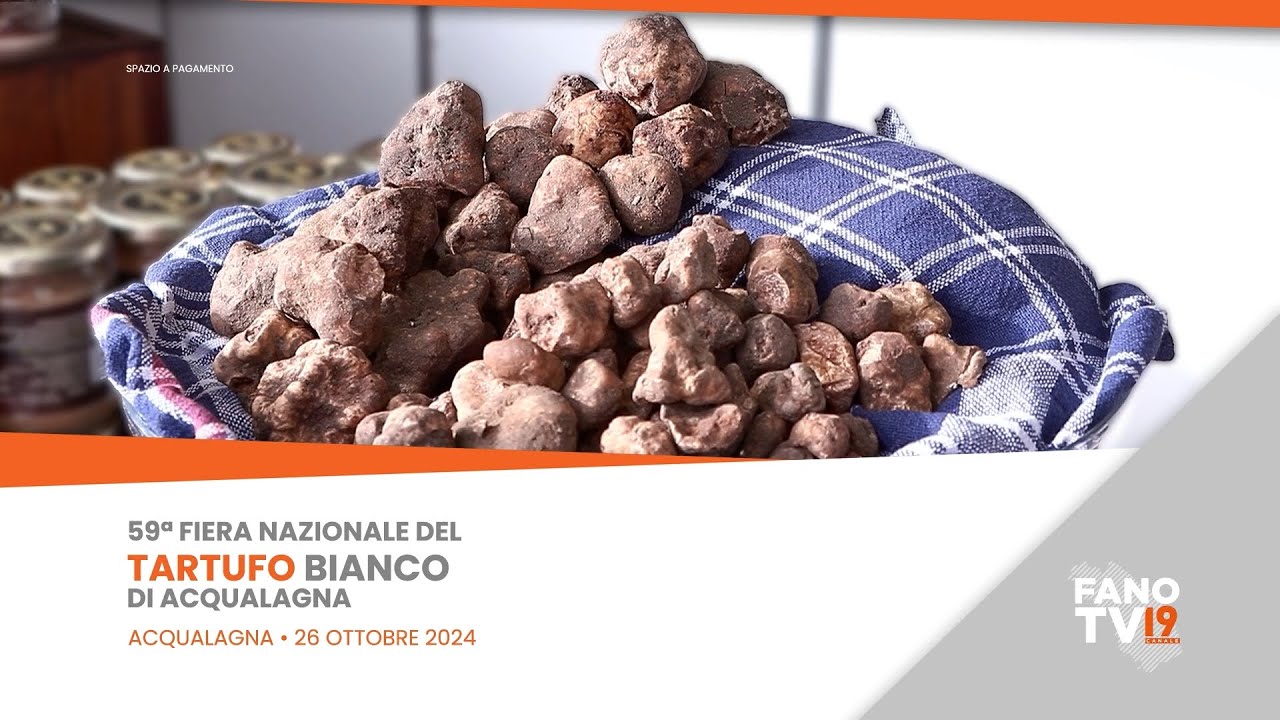 FANO TV - Inaugurazione della 59° Fiera Nazionale del Tartufo Bianco di Acqualagna