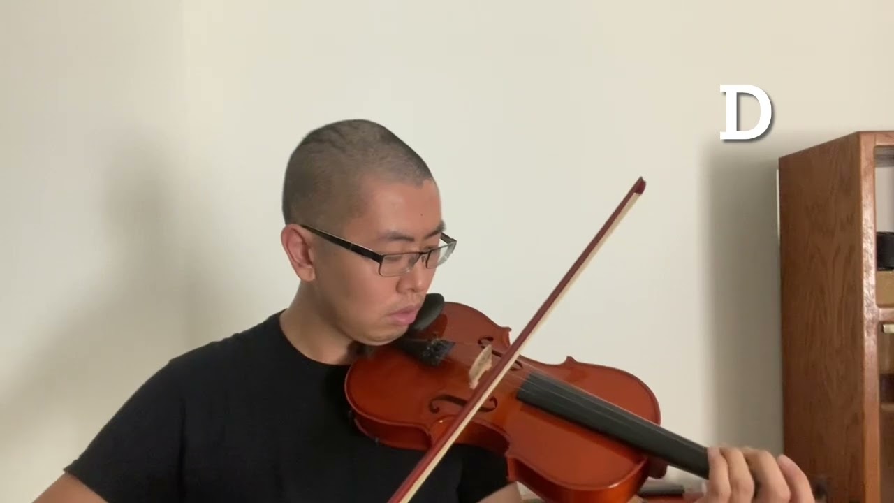 Violin Sound Comparison - Cecilio CVN-300, Monoprice, Paititi