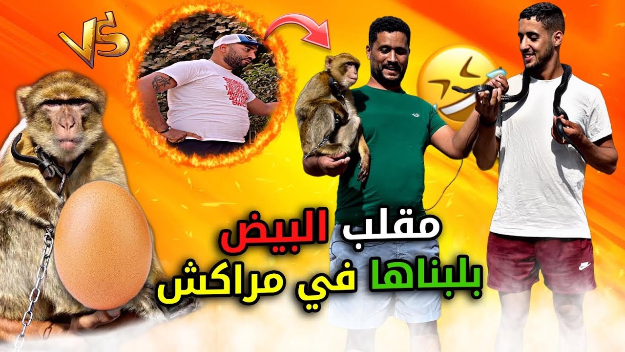 أحسن مقلب 😂البيض 🥚في شوارع المغرب 🇲🇦 (مراكش)