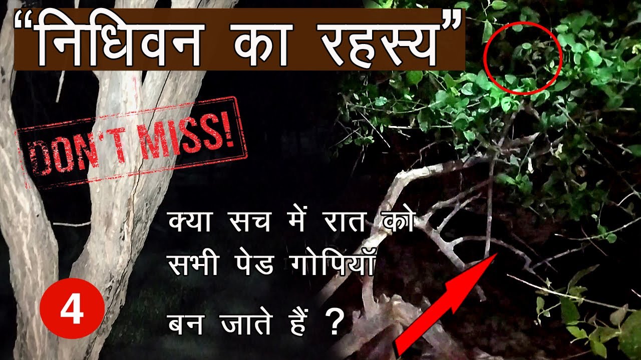 देखिये रात से सुबह तक की पूरी रिकॉर्डिंग ! निधिवन का रहस्य ! Nidhivan ka rahasy | वृन्दावन भाग - 4
