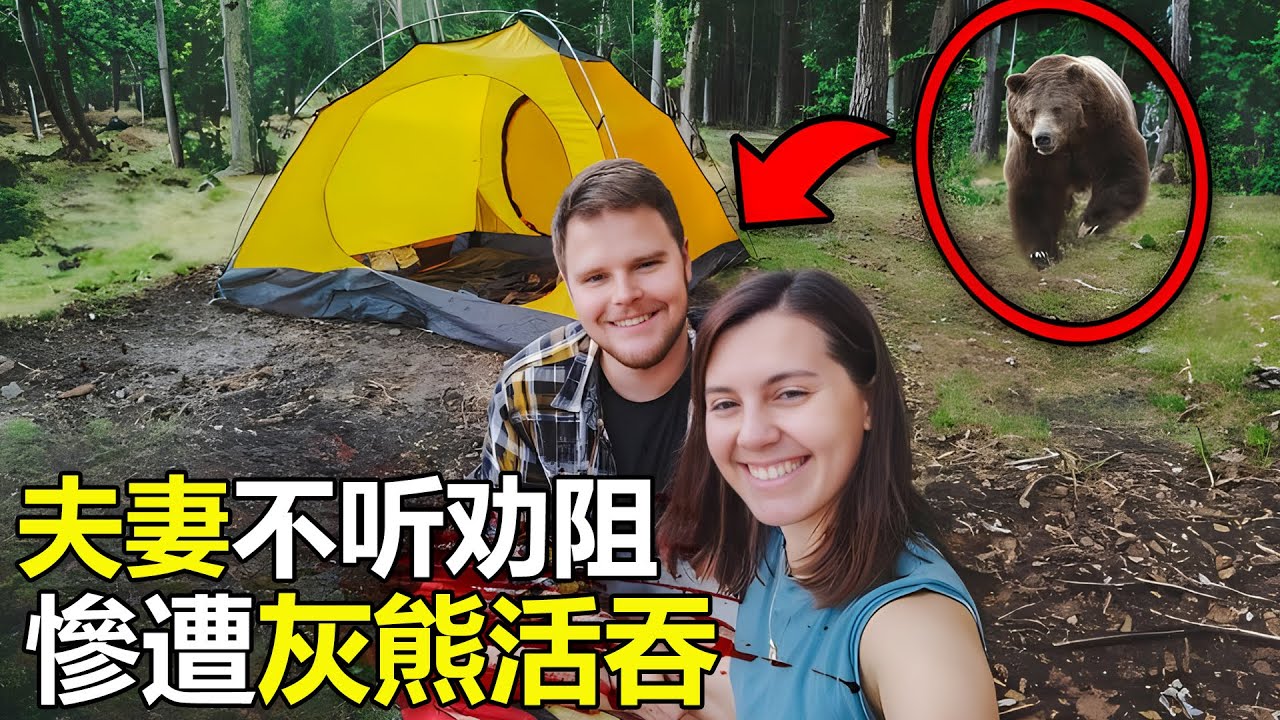 美国夫妇不听劝阻，强行在&ldquo;野外露营&rdquo;惨遭灰熊活吞，帐篷内的画面，吓坏救援人员#動物 #腦洞大開 #世界之最 #災難 #出類拔萃 #动物 #top #美國