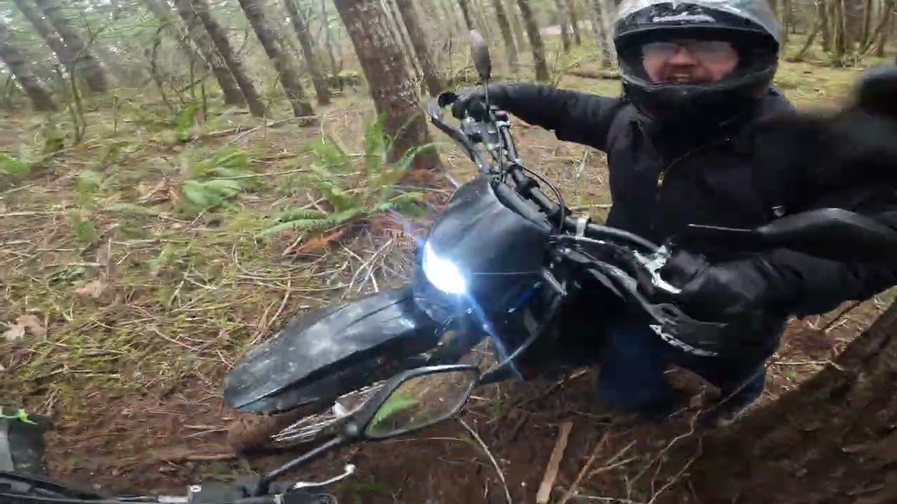Logging Rd 