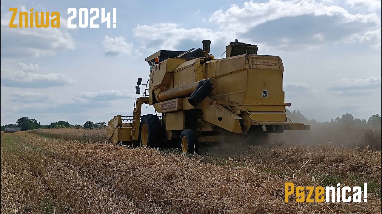 🚜🌾Żniwa 2024!🌾 Pszenica🌾🔥 New Holland 8050 Łódzkie🔥