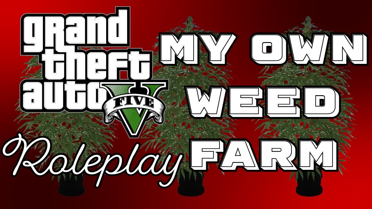 I Started growing my own Weed in GTA 5 RP- Road to the highlife #2