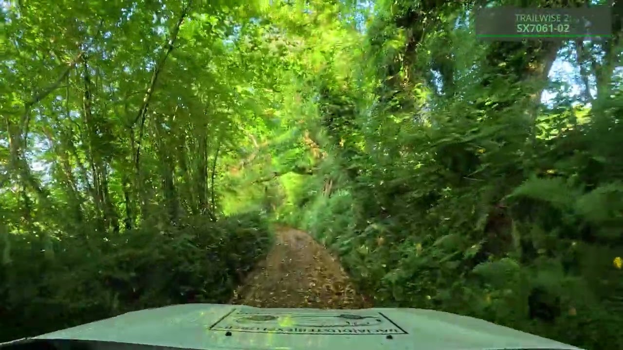 Green Lanes in a Dacia Duster - Harbourneford/South Brent, Devon