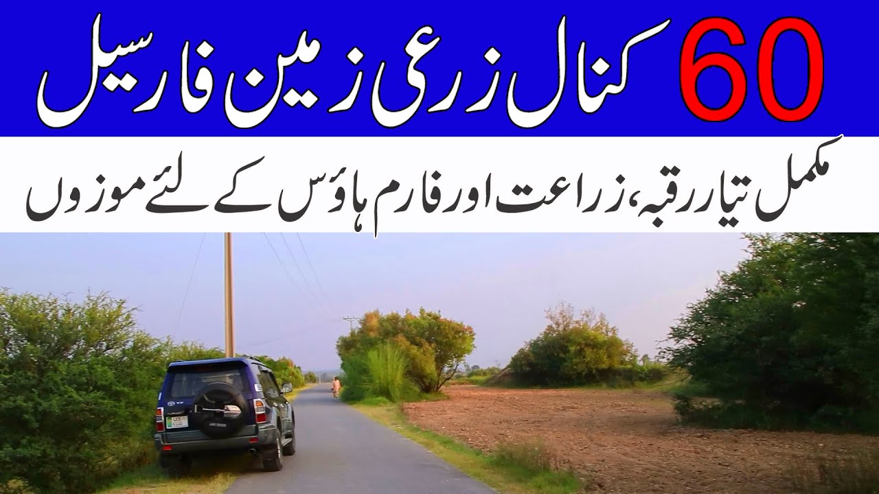 60 Kanal Agricultural Land For Sale in Chakwal Punjab Zari Raqba for sale in Mandra Chakwal Road