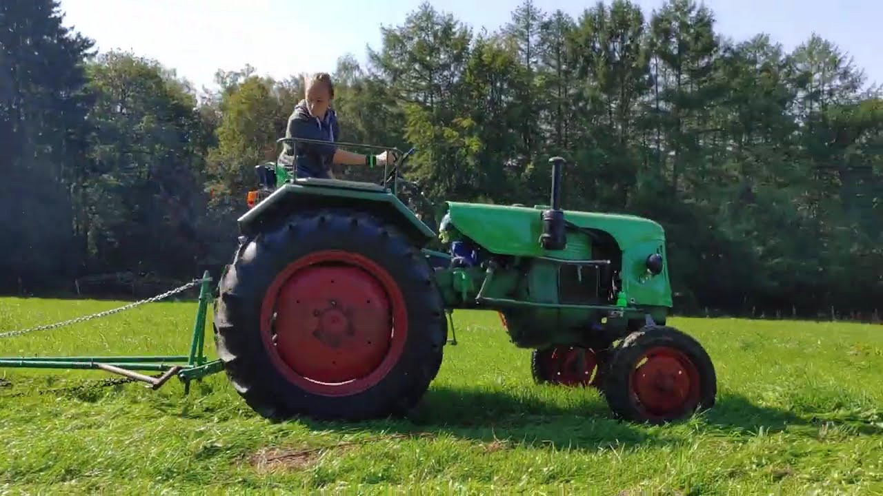 🚜 Güldner ALB im Einsatz – Pferdeweidepflege mit Wiesenschleppe 🌾