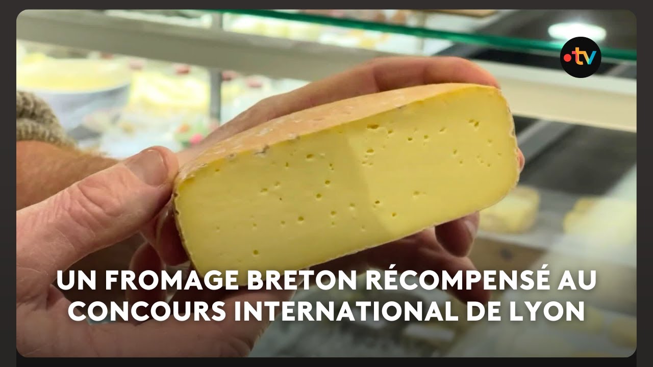 Un fromage breton récompensé au Concours International de Lyon