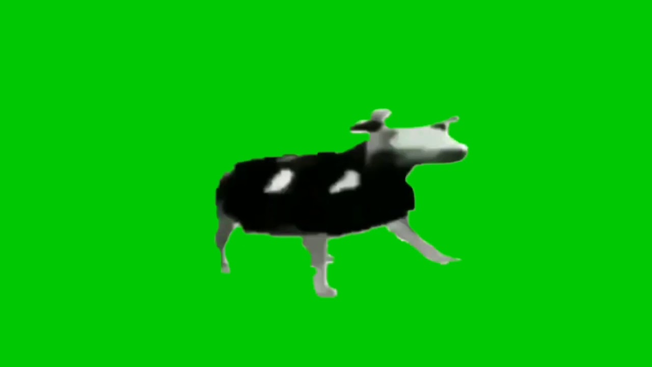 Mentahan Meme sapi joget green screen 1 menit #short