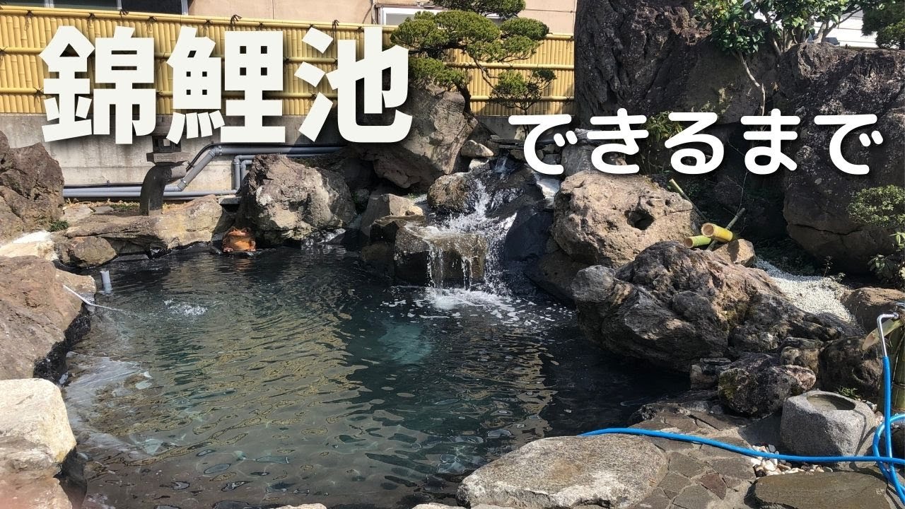 庭園池ができるまで【錦鯉】＃FRPコーティング＃塩田養鯉場#koipond＃nishikigoi＃Garden＃魚