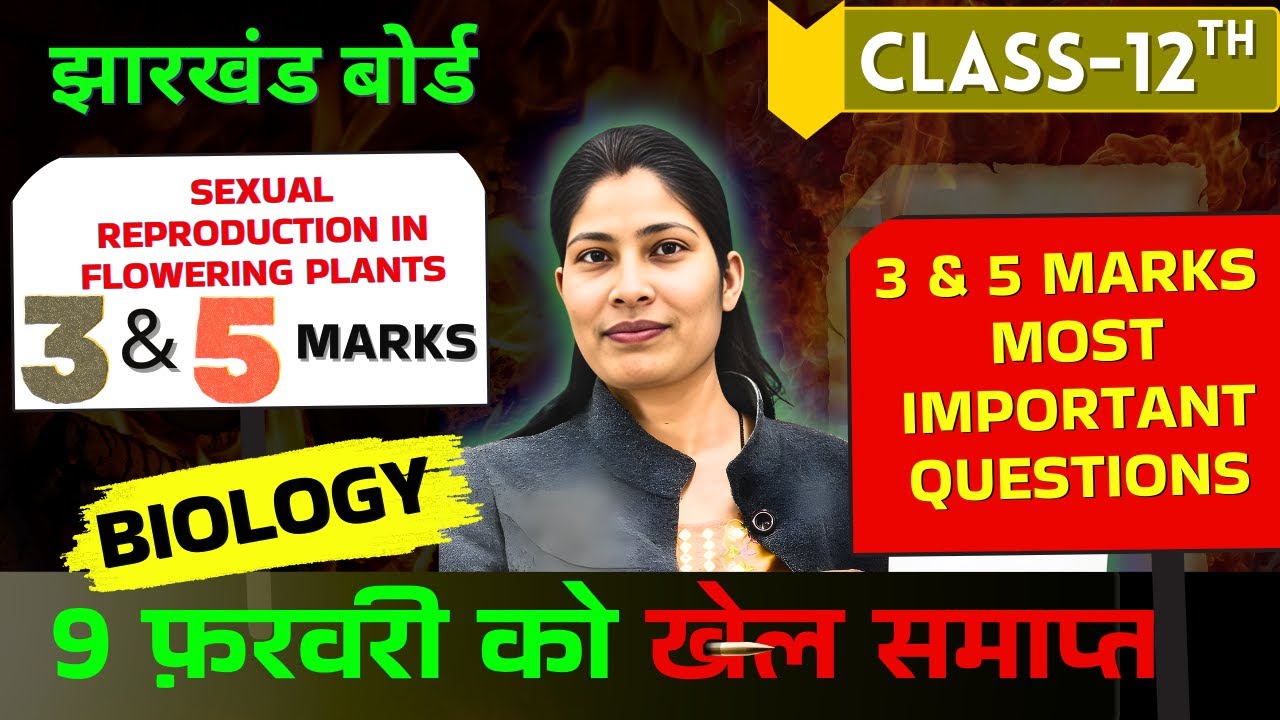 3 & 5 Marks Important Questions |Sexual Reproduction in Flowering Plants| Class 12 Biology JAC BOARD