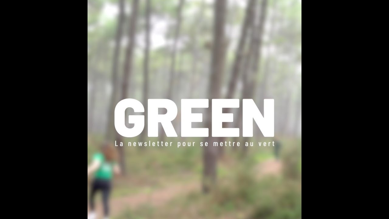 Green News #10 - Protégeons nos forêts 🌳