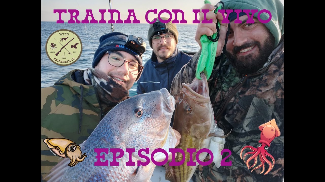 PESCA A TRAINA CON IL VIVO EP. 2 - FERRATE IN DIRETTA FISHING LIVEBAIT TROLLING EP. 2 - LIVE STRIKES