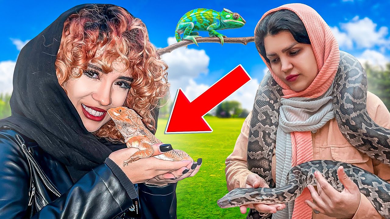 بزرگترین خانه خزندگان ایران😳🐍 | رفتم نمایشگاه سوسمارهای زنده🐊😩