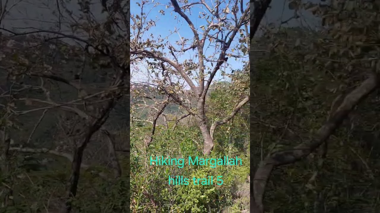 Hiking Trail 5 Islamabad