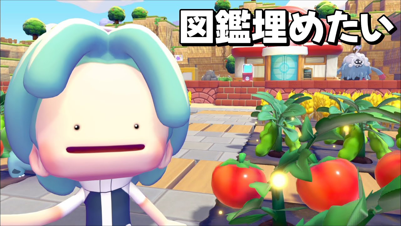 【ストーリークリア済み】全部の街の環境レベル10にしたい！【ぽこあポケモン】