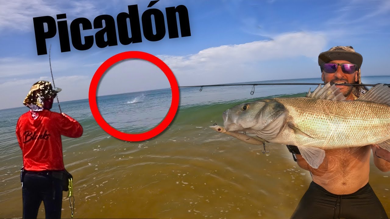 Robalos GORDOS comiendo en SUPERFICIE! INCREIBLE (JORNADA BESTIAL)