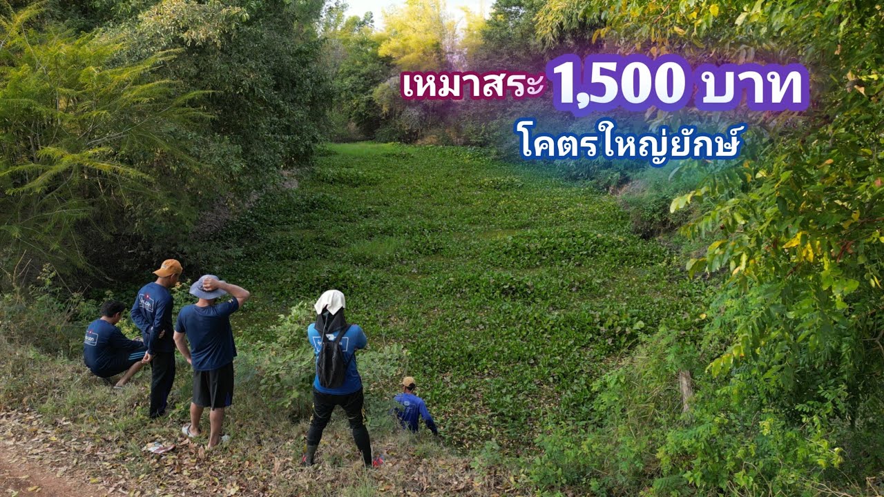 เหมาสระ 1,500 บาท โคตรใหญ่ยักษ์ สองสระ 2วัน 2คืน ส่งทีมงานกลับอุบล / บ้านนอก EP.998
