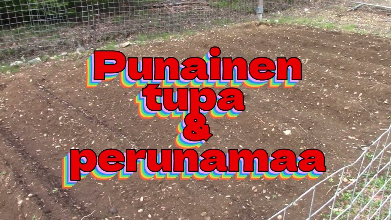 Punainen tupa & perunamaa