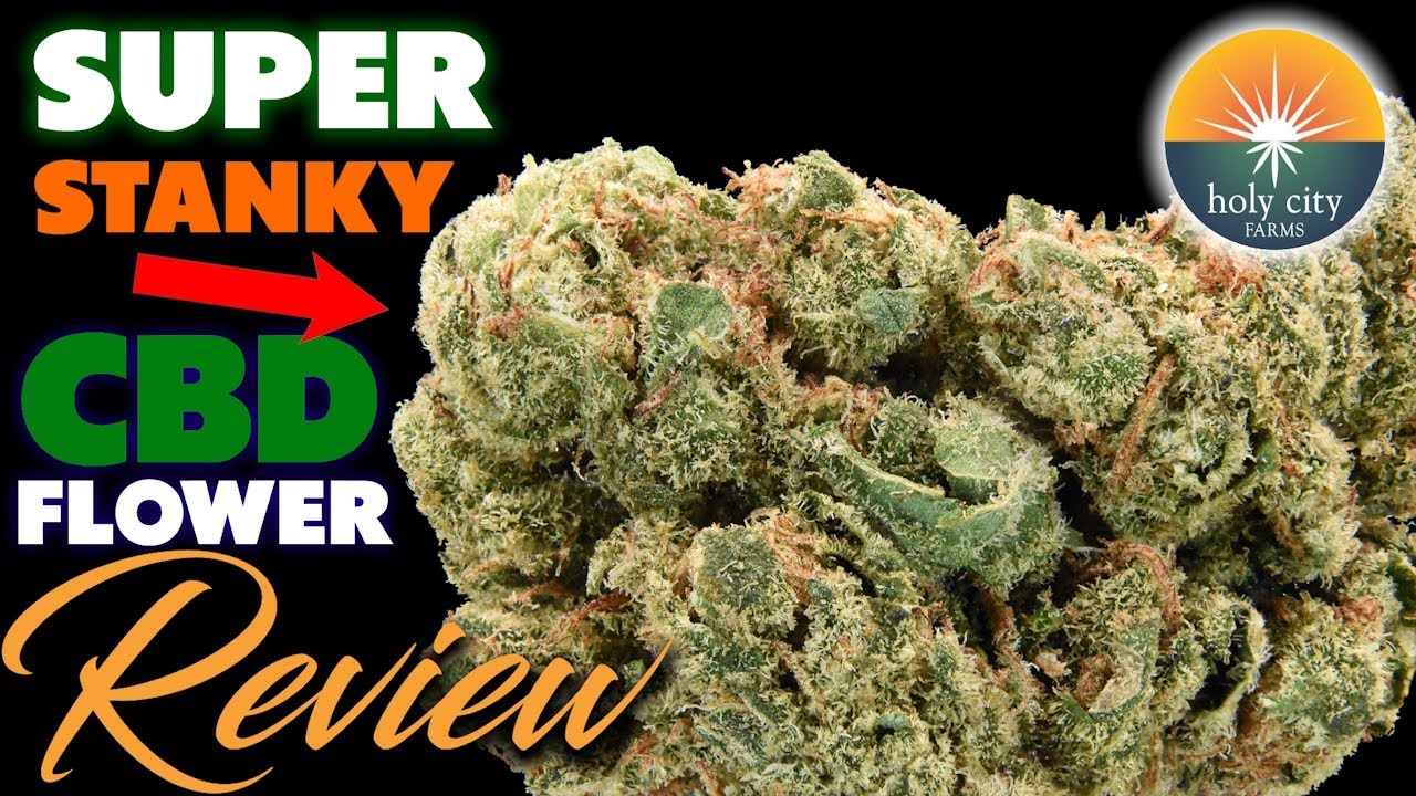Strawberry Abacus From Holy City Farms - STANKY | CBD Hemp Flower Review
