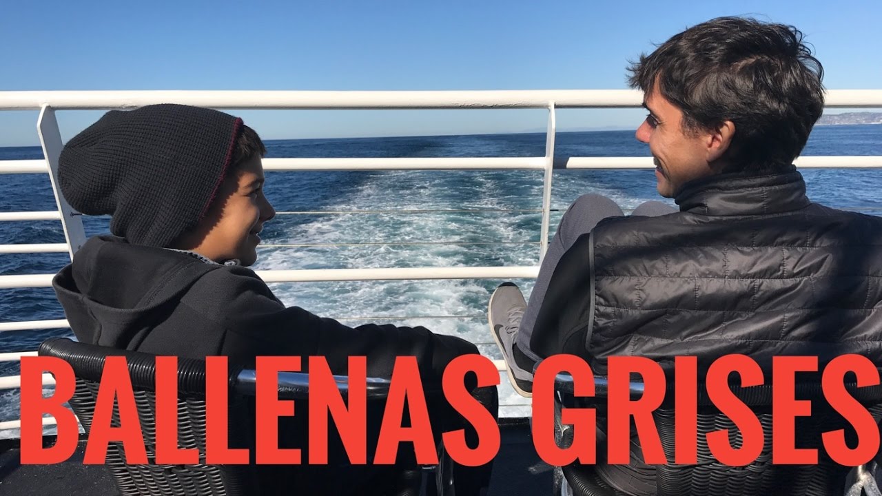 CUMPLEAÑOS CON BALLENAS GRISES | HUGO Y ANTUAN SE MAREAN | Vlogs Diarios #277
