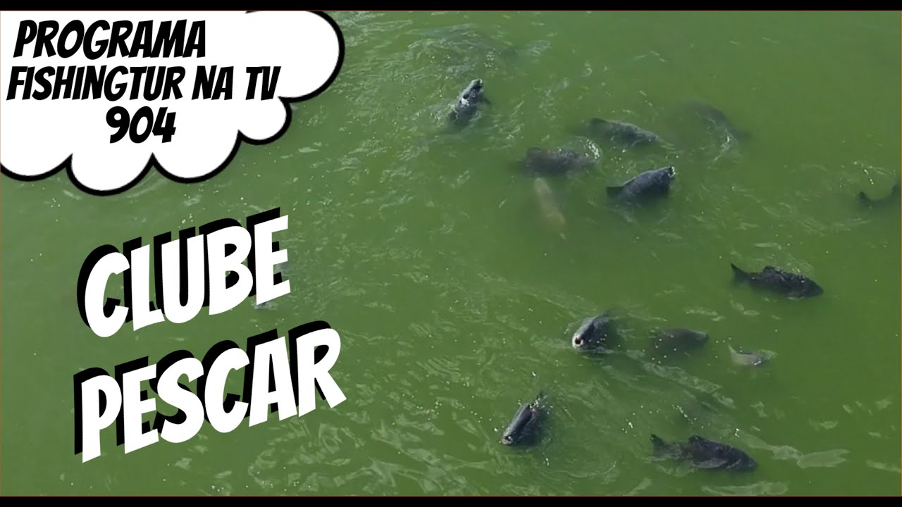 Grandes TAMBAS e Pirararas no Clube Pescar (FISHINGTUR #904)