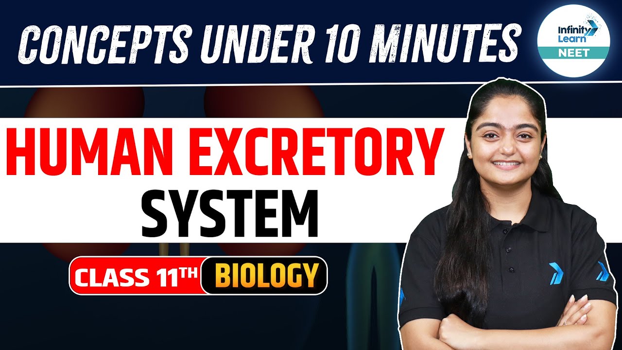 NEET 2025: Human Excretory System | Quick & Easily Understand | Class 11 | @SriChaitanyaAcademyNEET