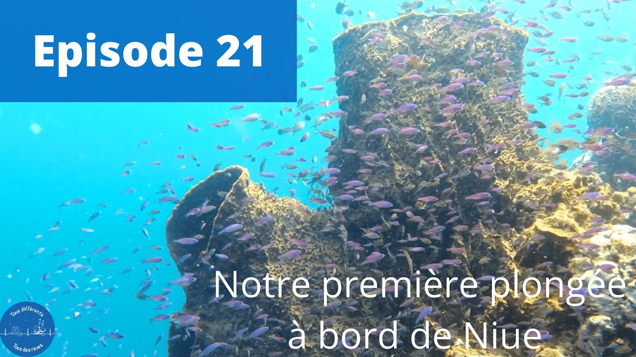 Tous différents Tous des rêves, épisode 21: Notre première plongée sous-marine à bord de Niue.