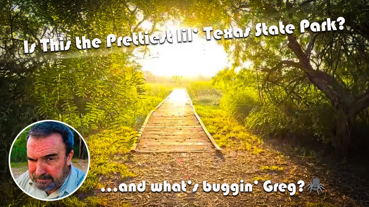 Is Estero Llano Grande State Park the Prettiest Lil Park in Texas?