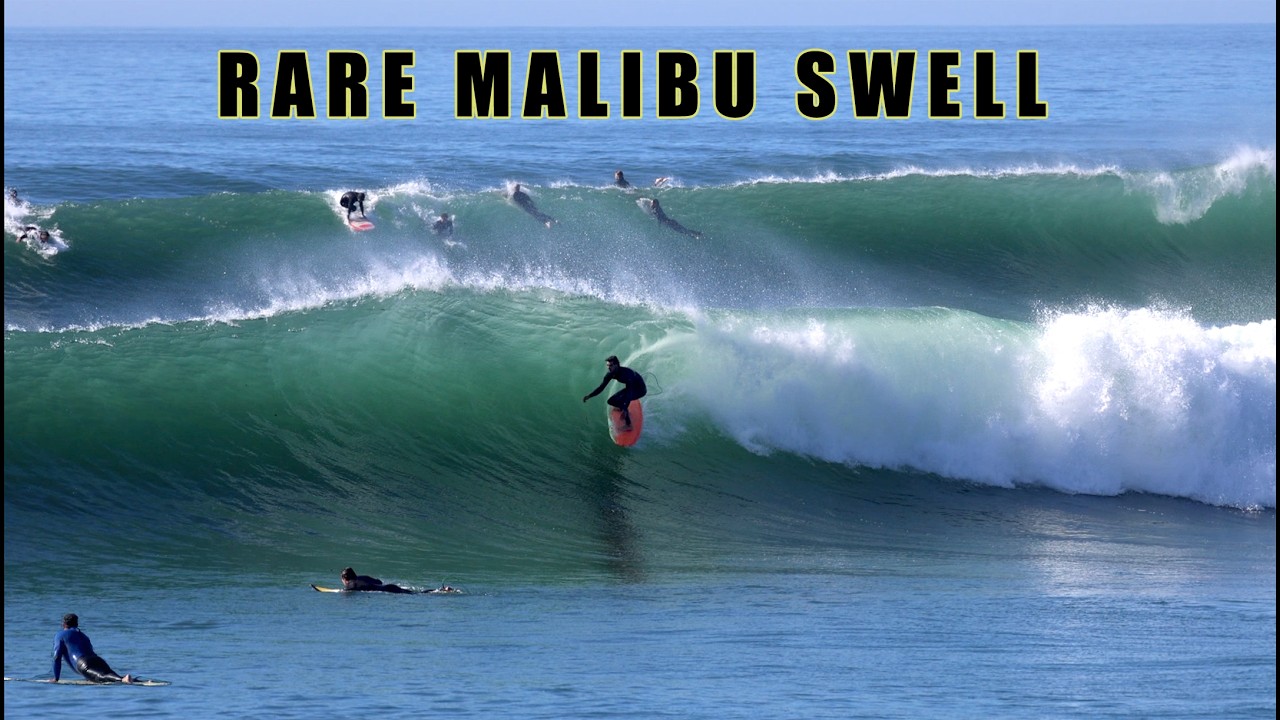 В погоне за редкой волной в Малибу в марте.