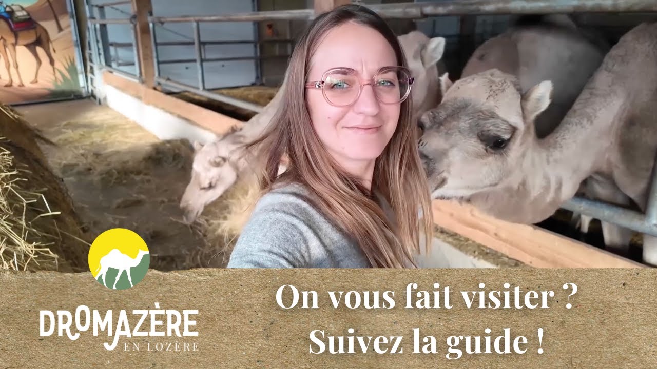 On vous fait visiter ? Suivez la guide ! 🐪