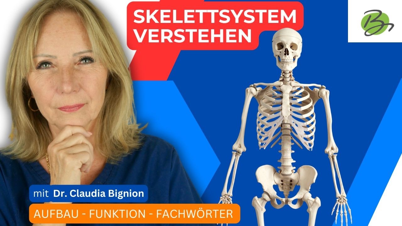 Skelettsystem einfach erkl&auml;rt: Aufbau & Funktion | Dr. Claudia Bignion