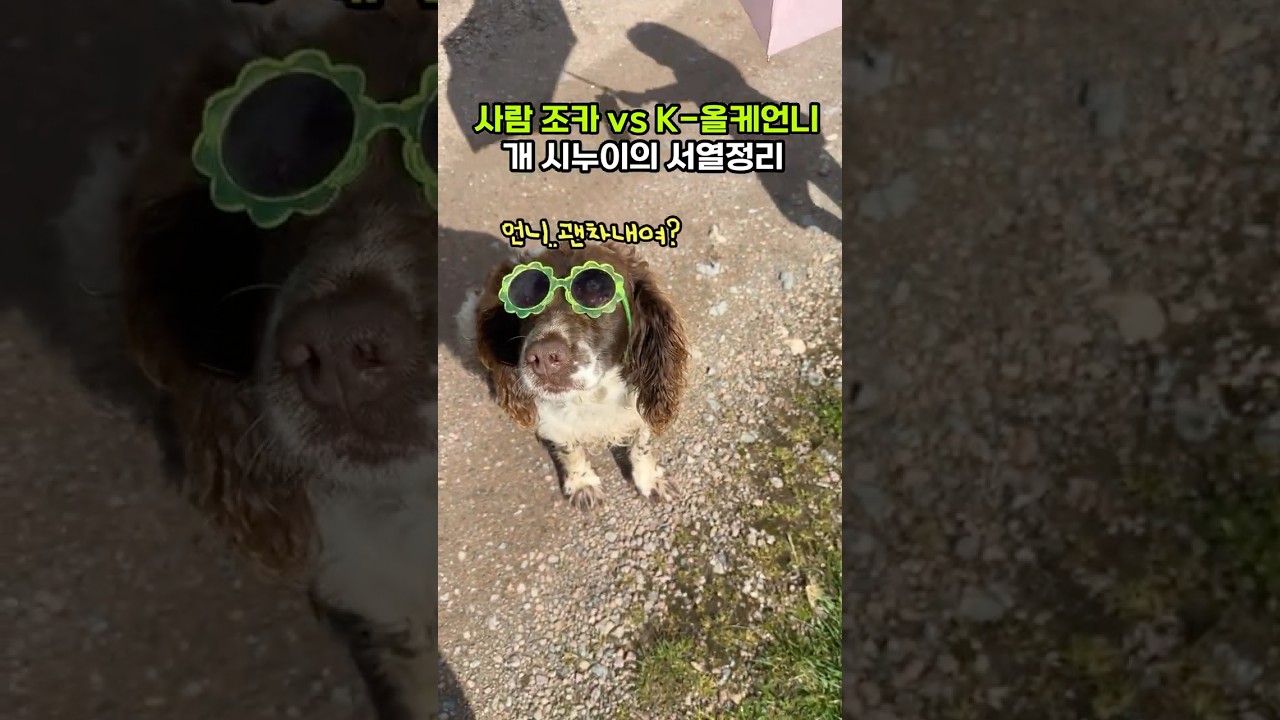 사람 조카vs 올케 언니,개시누의 극명한 온도 차이   #개시누이 #사람올케#국제커플ㆍ