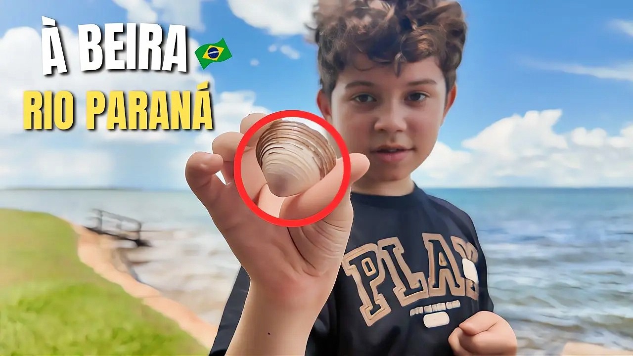 Nossa Rotina no Brasil 🌿 Um Dia Tranquilo à Beira do Rio Paraná