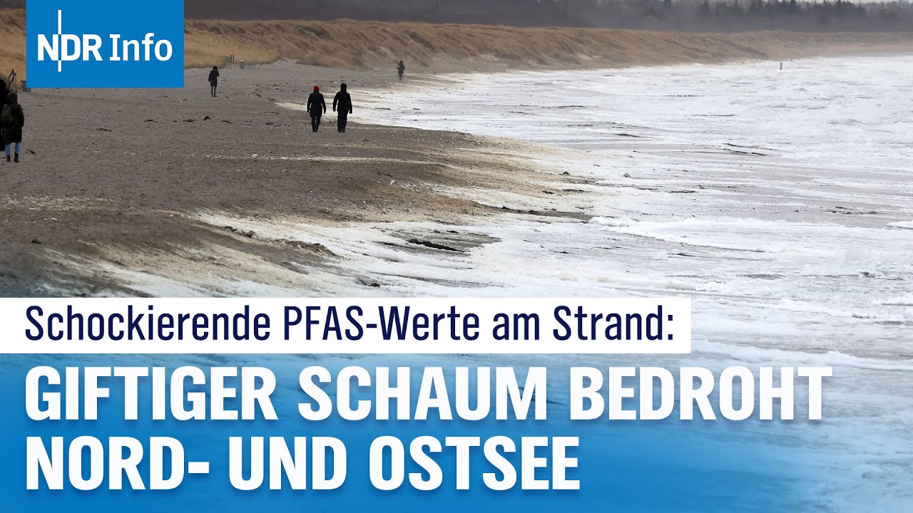 Umweltgift PFAS in hoher Dosis im Meer: Gefahr für Mensch und Tier an Nord- und Ostsee I NDR Info