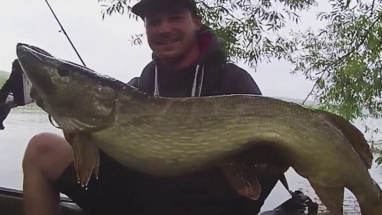 Quantum Hairy Mary never stops rocking!