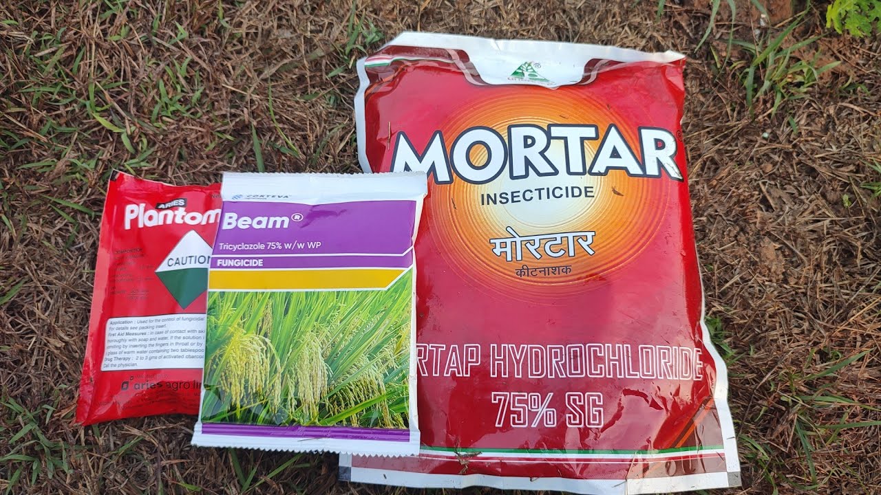 భీమ్ మోర్టార్ ప్లాంటమైసిన్ ...